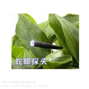 ˮ½��������Ƶ�Խ�����̽����¼���������������BF-V10���������