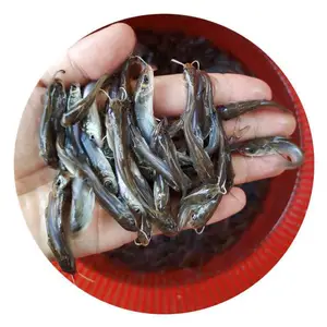��β�t���糧�� ��β���������ˮ������ ��β�����г�����