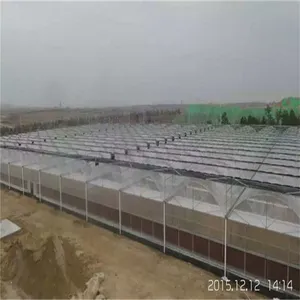 ��Ĥ����ʹ�����޲�Ʒ��չ���ƺ��������-��ӭ��ѯ