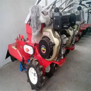 չ���������΢�Ϳ�������ݮ��¢С�Ϳ���������