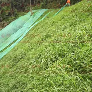 广东肇庆市客土专用草籽种类多少钱一斤