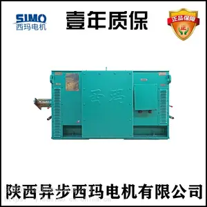 ����������Y5004-10/315KW/10KV��ѹ��ˢֱ�����ԭ��***