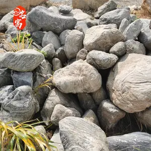 ����̩ɽʯ����һ�� ͥԺ��ɽʯͼƬ 1�����ҵ�̩ɽʯ