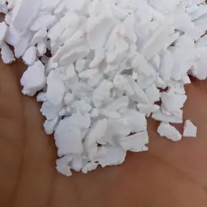 ��·��ѩ��