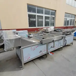 果蔬气泡清洗机 蔬菜水果清洗设备