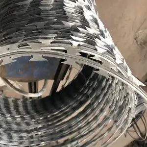 ������·���� ��˿���������� ***��Ƭ����