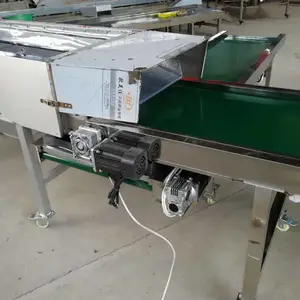 香菇分级筛/干菇四层筛菇机 鲜菇筛选传送带