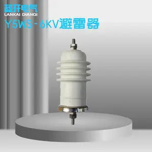 ����6KV�����ѹ��ɫ�մɽ��������������Y5WS-6KV ��ѹ������