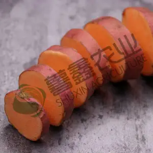 烟台烟薯25价格,河北冰烤红薯,烟薯25市场