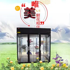 鲜花保鲜柜鲜花冷藏柜鲜花展示柜鲜花冰柜鲜花冰柜鲜花冰箱鲜花展示柜鲜花冰柜鲜花冷柜
