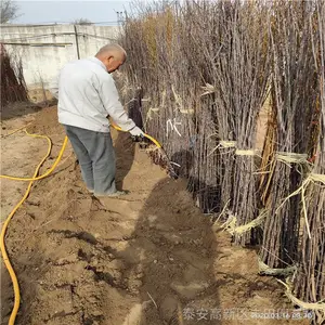 5����ʯ����۸� ����ʯ����ľ ����