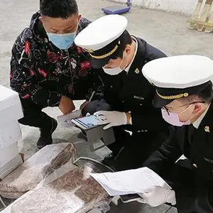 潍坊冷冻水产品进口报关 专注报关代理服务