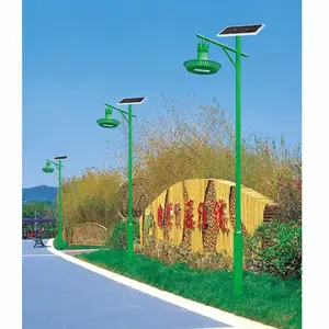 龙江照明供应铜仁思南县5米30瓦锂电太阳能led路灯厂家