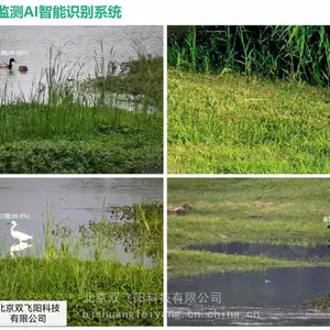 鸟类AI物种识别+声纹监测智能识别管理分析系统
