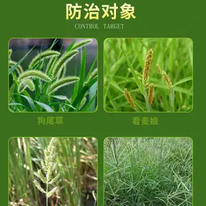 玉米、大豆、水稻、小麦等除草剂_蔬菜、油菜、甘蔗等作物幼苗移栽前除草剂
