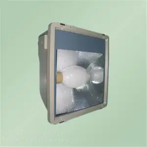 �������� SFD3000B��Яʽ������ҵ�� ±�ٵƹ�Դ 2*500W