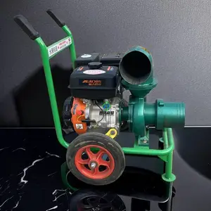 ԰���ò������� ����ϳ�ʽ��ˮ�� 15������ܿ����ı�