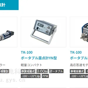 日本TEKHNE静电容量式露点计TK-100在线露点表