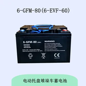 6GFM80蓄电池,6EVF60中力小金刚叉车电瓶 托盘搬运堆垛车电瓶