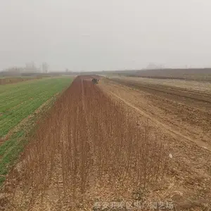 �����й����һ�С����� �������һ���������