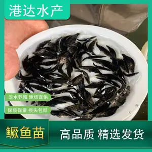 ���������ڱ��� ���������Ͷ��ʱ�� �۴�ˮ�����̷���