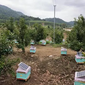 智慧蜂场建设