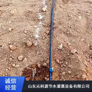 加厚滴管带_大棚用PE材质膜下滴灌带_双孔滴灌管