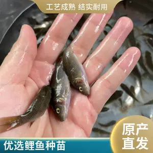 �̻������� ʳ�õ��������� �ɻ�***�ɻ��������ֻ�����