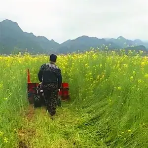 С��ˮ���ո�����һ�ߵ������ո�������ո��