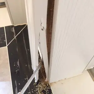 大沥白蚁***公司 大沥白蚁***中心