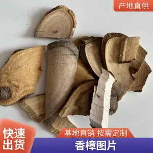 ��ҩ������ľ���� ������Ƭҩ�� ��֤�ó�����ǧ����ҩ�Ĺ�Ӧ