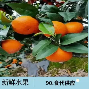 ˮ���� ���� Ӧ���ͻ����� ��� �ָ� ���� ��ϵ�绰�� ��ˮ���� ���г�