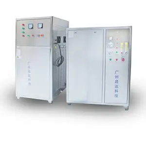 牛仔洗水臭氧发生器 高浓度臭氧发生器 臭氧发生器专业厂家