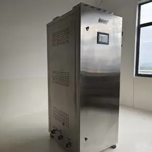迪森食品厂锅炉 优质耐用 高效节能 工业级加热设备