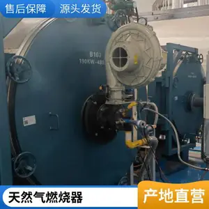 岱鼎转炉煤气油气两用SCR脱销反射炉烧嘴性价比高生产厂家加热