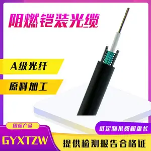 GYXTZW-4B1.3耐高温光纤6/8/12芯中心束管式平行钢丝架空阻燃光缆