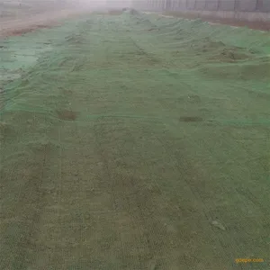 ��ɫ������ �����ֳ��� ������ɫ