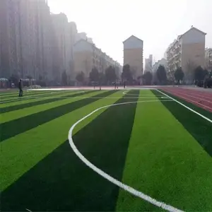 ���򳡲�Ƥ��������ƺ�������������������СѧУ�׶�԰�˶���
