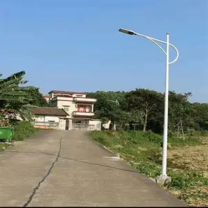 6米路灯 LED路灯 景观灯 庭院灯高杆灯