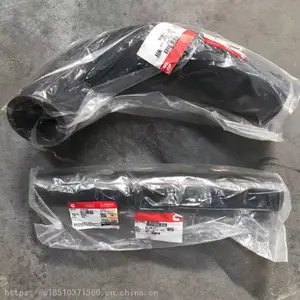 �̵�������3633715 ����´�ȿ���˹����������