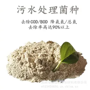 镇江生物菌种选择豫佰润 好氧菌 ***源头直发
