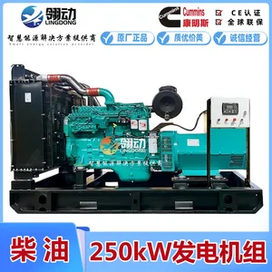 �й����翵��˹250kWǧ�߲��ͷ������ �ȶ��Ժ��;�����������