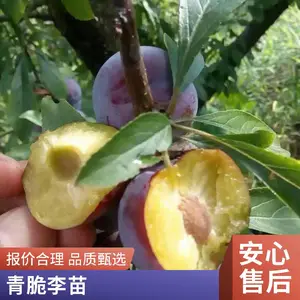 �ѹ����� �޽����������޽�һ�Ź������������������������