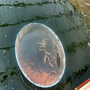 湖南水产养虾帆布池设计养鱼养虾刀刮布水池PVC刀刮布