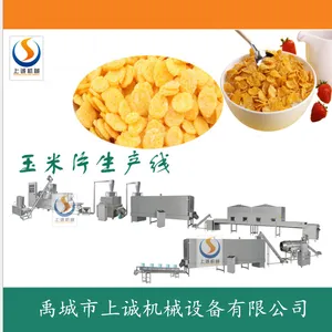 TN70玉米片生产设备厂家