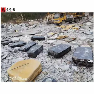��԰���̤��ʯ ����ͥԺ���ʯ԰�ֹ㳡����͡����·ʯ