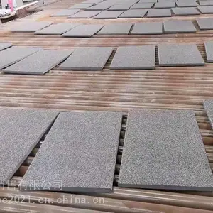 ���ε���ʯ֥���01