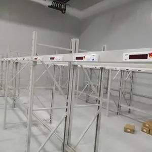 DPS摘取式电子标签拣选系统 库房按灯订单分拣设备SL-P3