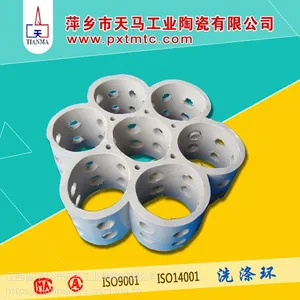 天马陶瓷供应陶瓷连环填料全瓷 高效规整填料