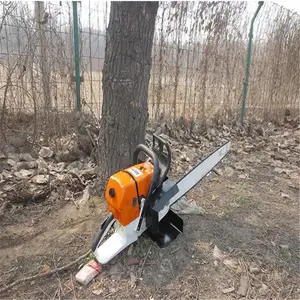 ���� ��������������� �����������Ի� ��ֲ����������
